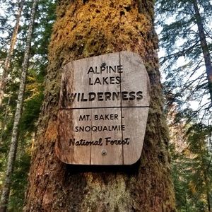 Meet your Posher, Kari